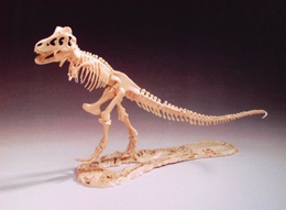 G.L1/25 ティラノサウルス                                  