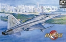 AFVクラブ1/48 RF-5S タイガーII シンガポール空軍　             