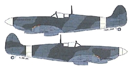 AML1/48 スピットファィア Mk.9 カモフラージュマスク                