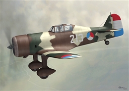 クラシック エア フレームス1/48 フォッカー D.21 オランダ空軍             