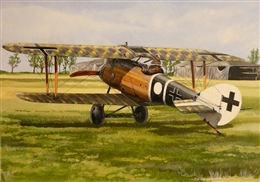 フライ1/48 ローランド D.6a                               