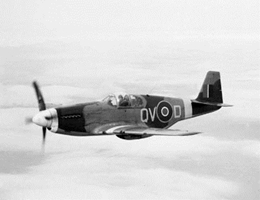 ドイツ・レベル1/48 P-51B ムスタング Mk.3                   