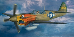 ハセガワ08232 1/32 P-40N ウォーホーク “第502戦闘飛行隊”          