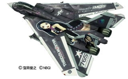 ハセガワSP270 1/48 F-14D トムキャット”アイドルマスター三浦あずさ”      