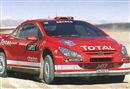 エレール1/43 プジョー 307 WRC 2004                      