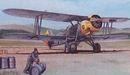 コプロ1/72 レトフ S.328 ドイツ空軍                         