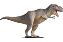 リンドバーグティラノサウルス レックス                            