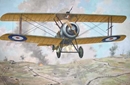 ローデン1/72 英・ソッピース T.F.1 キャメル塹壕攻撃機 WW-           
