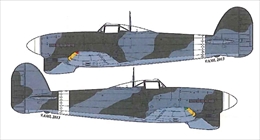 AML1/72 ホーカー タイフーン Mk.1b 初期カモフラージュマスク            