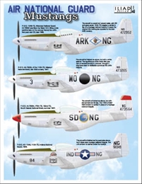 イリアド48024 米州空軍のムスタング                            
