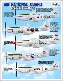 イリアド72011 P-51 ムスタング 米州空軍                       