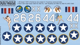 キッツワールド1/48 P-40 ウォーホーク "High Kicker,Butterfly"  