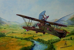 HRモデル1/72 フェニックス C.1 後期型 ユーゴスラビア空軍             