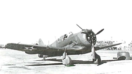 プラネット1/48 P-64/NA-68 米陸軍航空隊                      