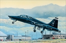 トランペッターモデル1/48 アメリカ空軍 T-38 タロン                  